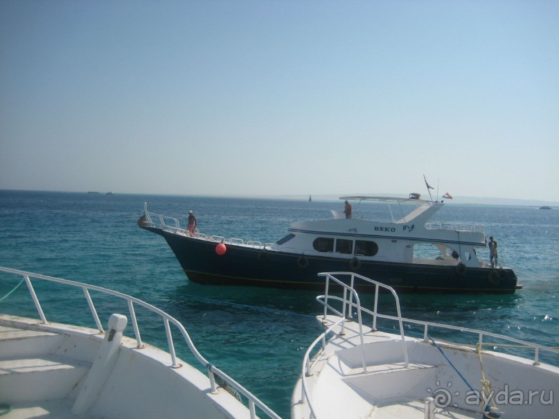 Хочу вернуться в этот райский уголок-отель Regina****