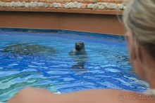 я ожидала лучшего