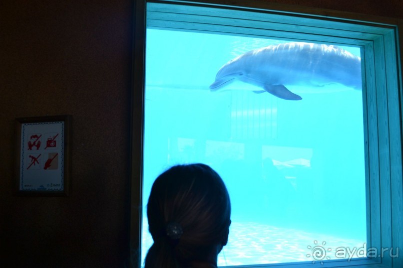 я ожидала лучшего