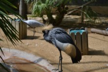 я ожидала лучшего