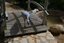 я ожидала лучшего