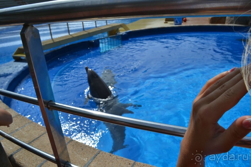 я ожидала лучшего