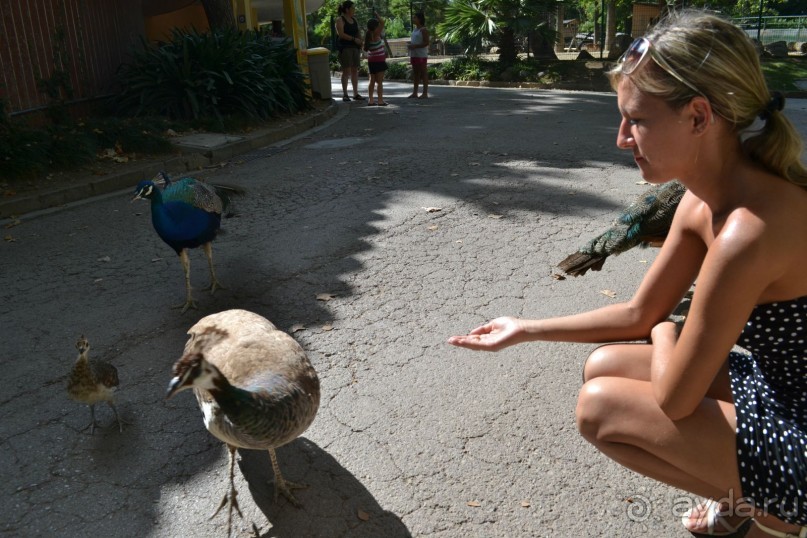 В Барселонском зоопарке можно провести пару дней!)))