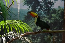 В Барселонском зоопарке можно провести пару дней!)))