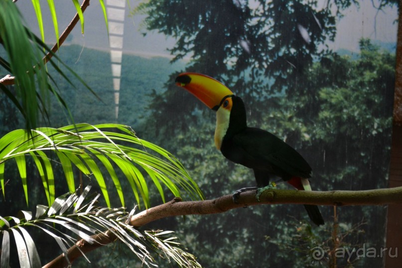 В Барселонском зоопарке можно провести пару дней!)))