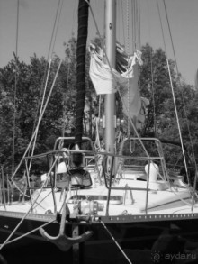 Отзыв о нашем отдыхе в Доминикане!