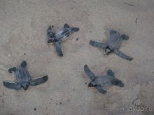 Отзыв о нашем отдыхе в Доминикане!