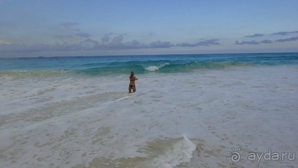 Отзыв о нашем отдыхе в Доминикане!