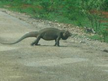 Отзыв о нашем отдыхе в Доминикане!