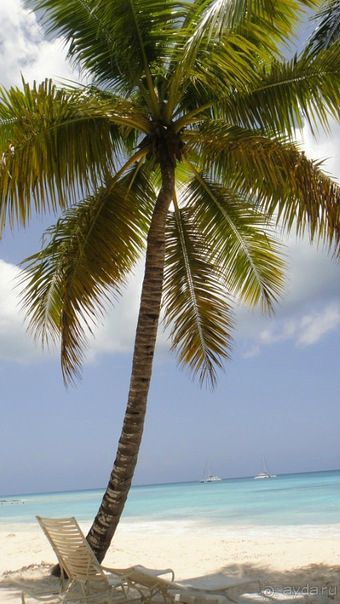 Отзыв о нашем отдыхе в Доминикане!