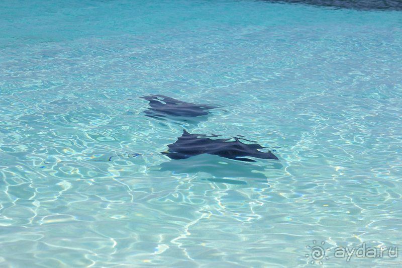 Отзыв о нашем отдыхе в Доминикане!