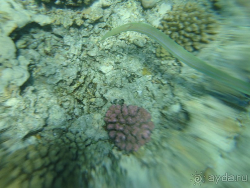 Суперский отдых!!!