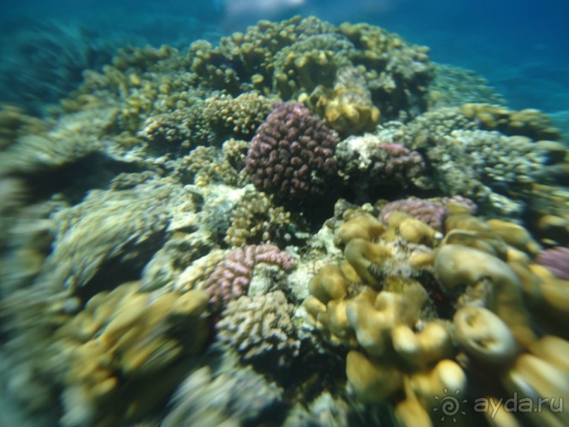 Альбом отзыва "Суперский отдых!!!"