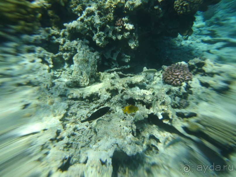 Альбом отзыва "Суперский отдых!!!"