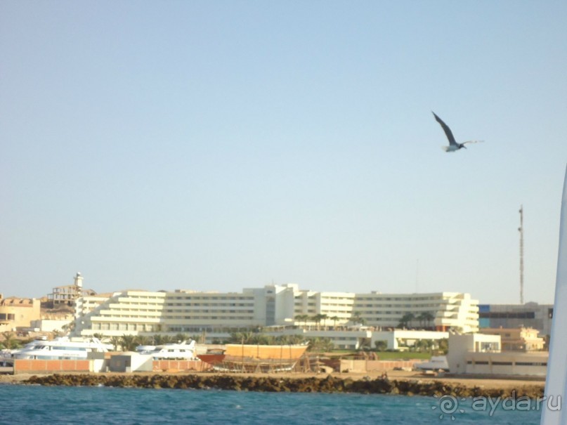 Аравийская пустыня.