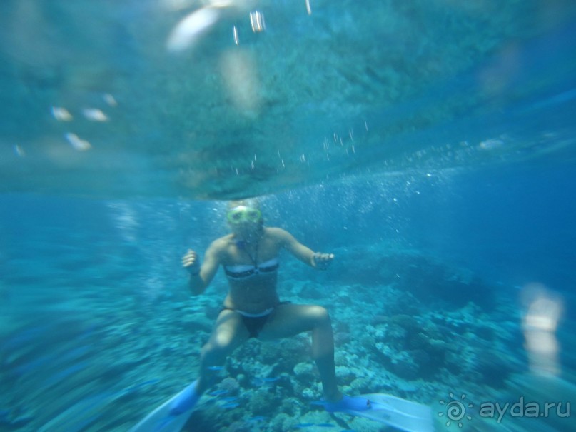 Под водой на фоне рифов.