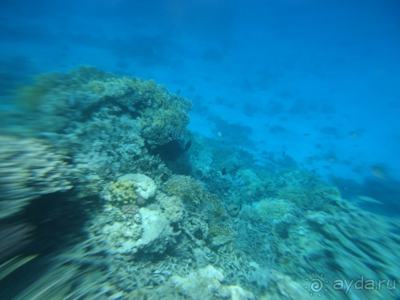 Заявленные 5***** оправдал на 100%!!!