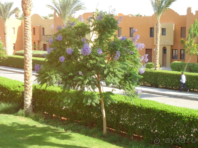 Вид с общего коридора на улицу.