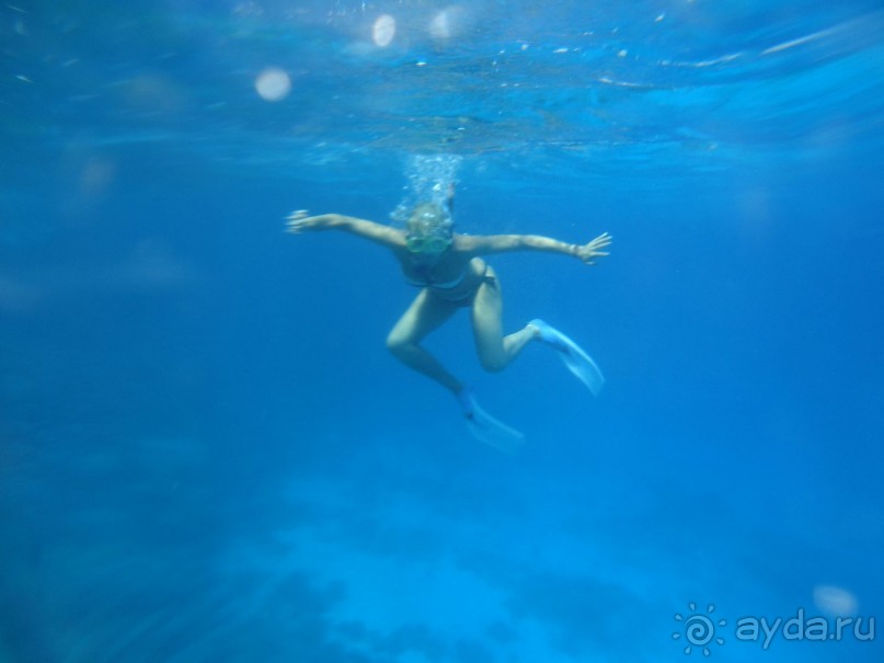 Захватывающее зрелище, когда погружаешься.