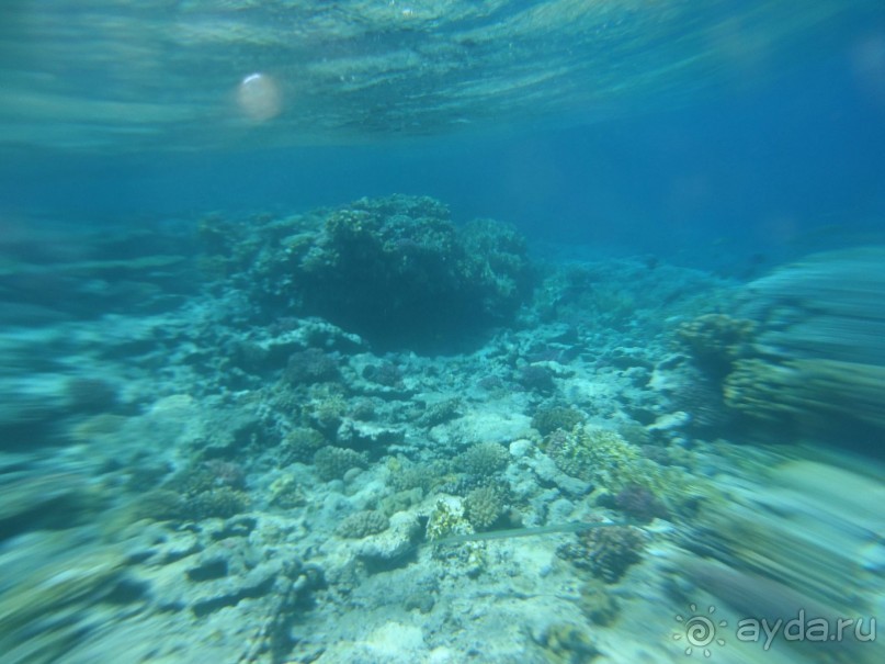 Подводный мир.