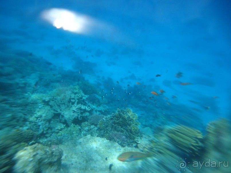 Ощущения под водой непередаваемые.