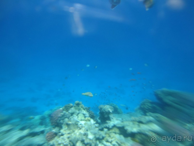 Это шедеврально. 