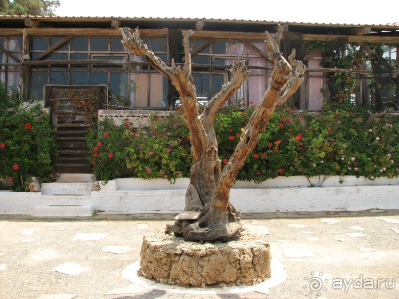 Этнографический музей под открытым небом