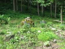 Хорошее место для семейного отдыха