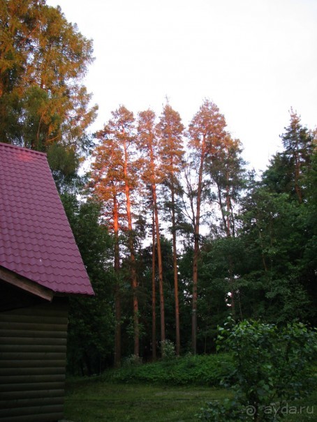 Хорошее место для семейного отдыха