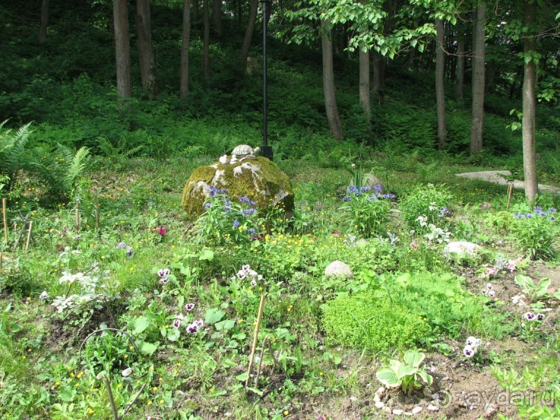 Хорошее место для семейного отдыха