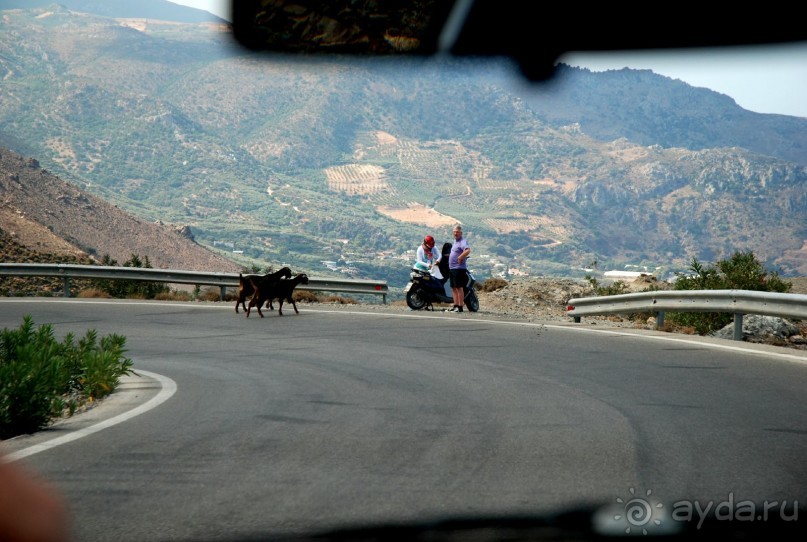 Отель на все 100.