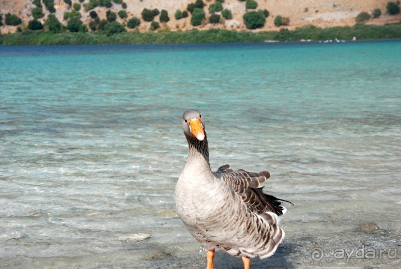 Пресноводное озеро Курнас. Купаться там одно наслаждение)