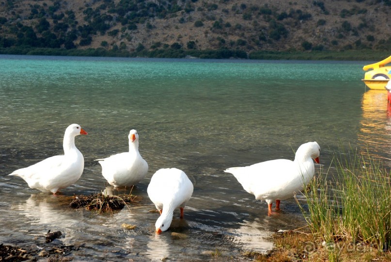 Пресноводное озеро Курнас