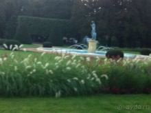 Оптимальное сочетание цены и качества