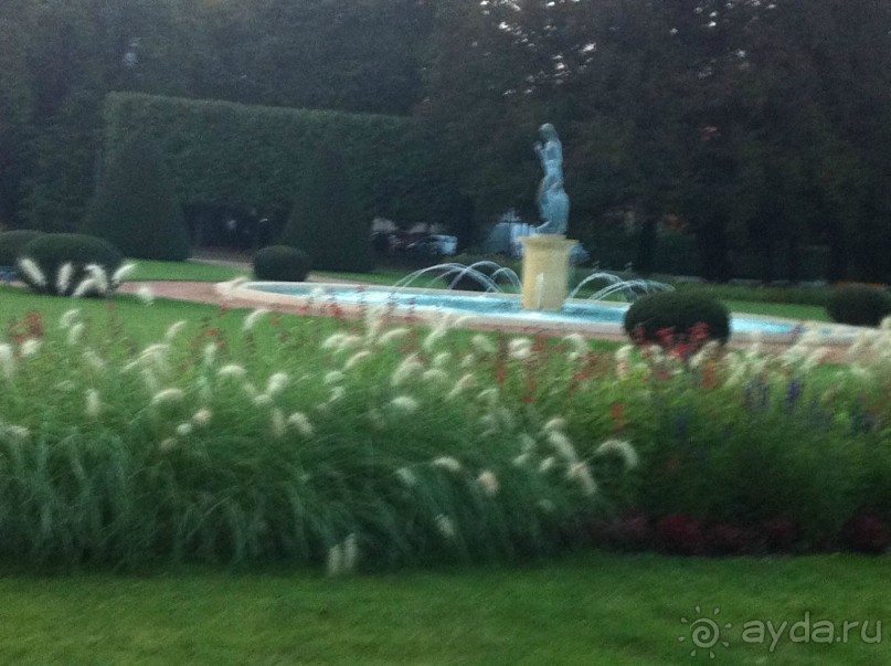 Оптимальное сочетание цены и качества