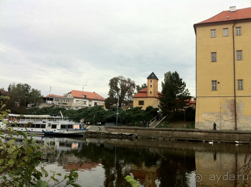 Оптимальное сочетание цены и качества