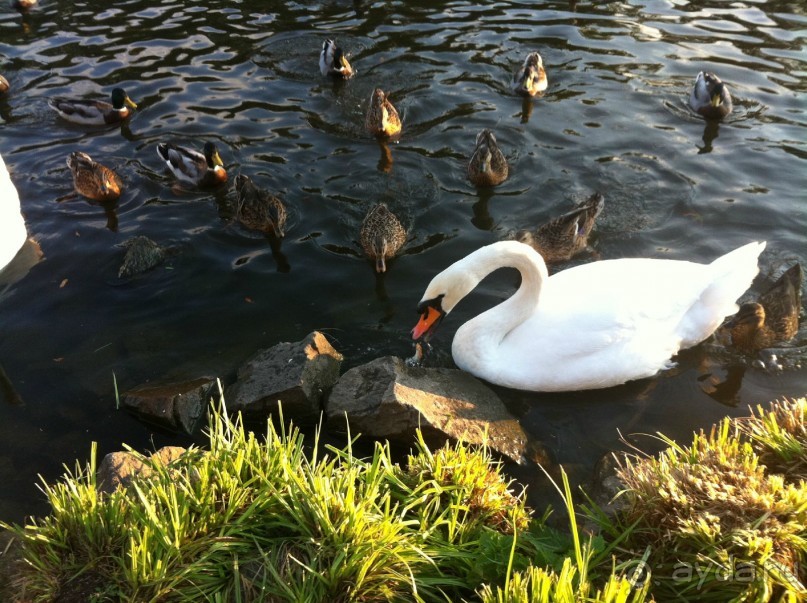 Оптимальное сочетание цены и качества