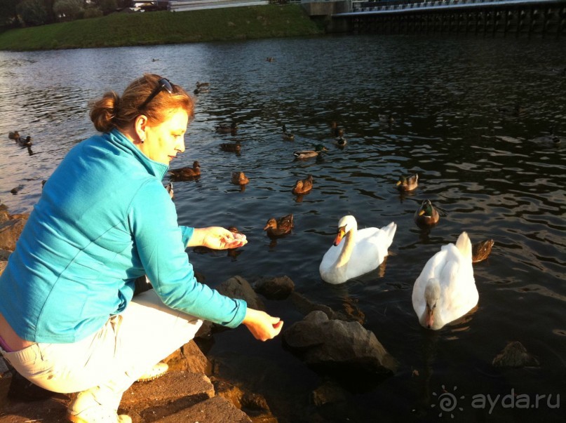 Оптимальное сочетание цены и качества