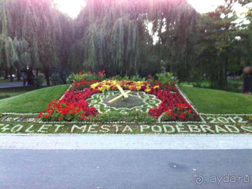 Оптимальное сочетание цены и качества