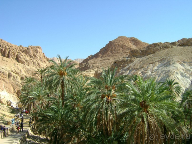 Оазис в пустыне