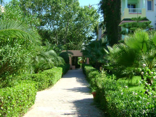 Территория отеля