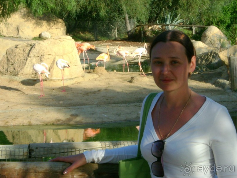 В зоопарке Фригия