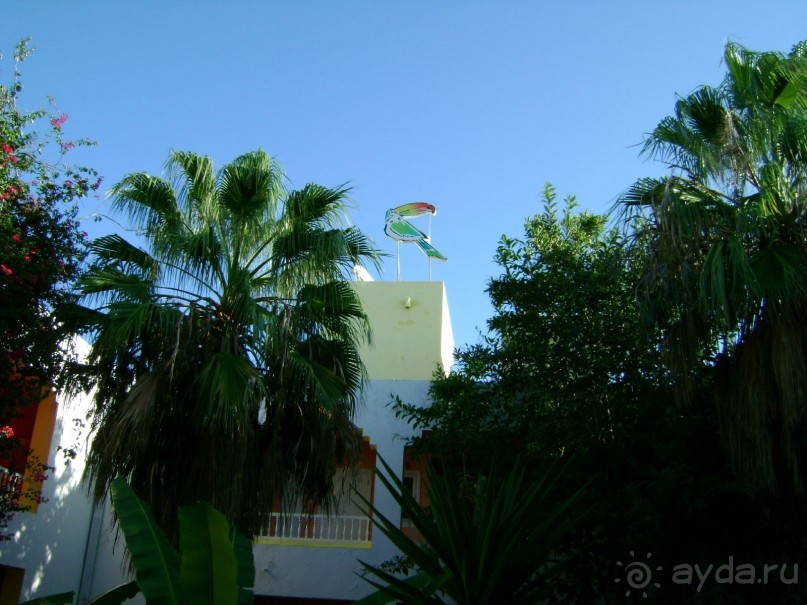 Территория отеля