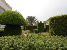 Без фанатизма и блеска, все скромно