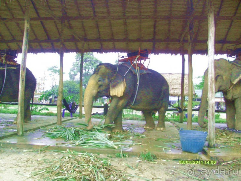 отзыв об отдыхе