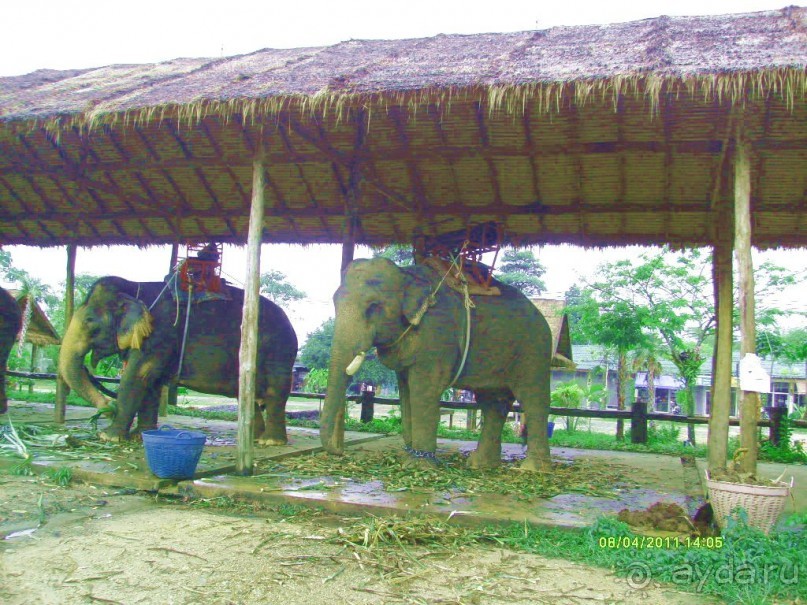 отзыв об отдыхе