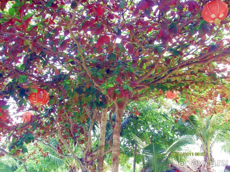 отзыв об отдыхе