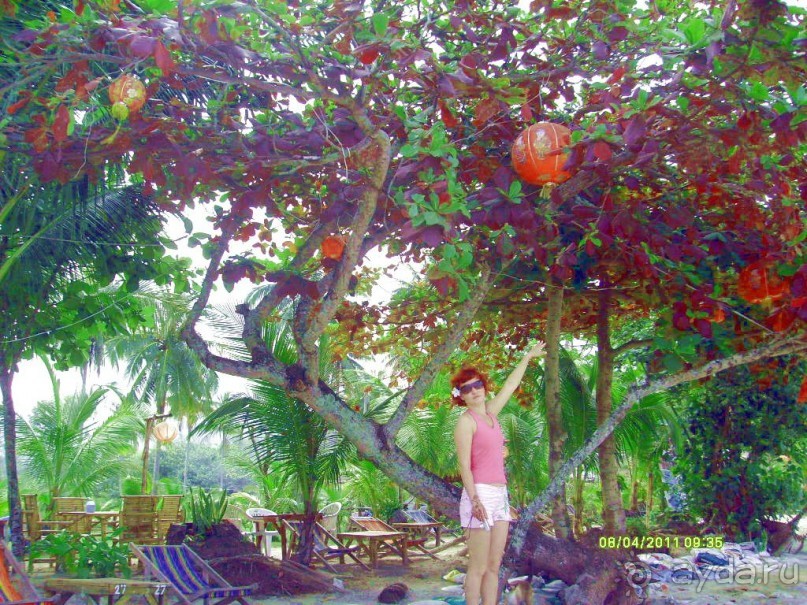 отзыв об отдыхе