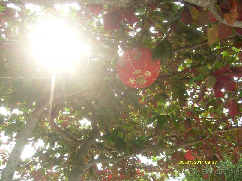 отзыв об отдыхе