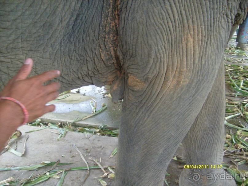 отзыв об отдыхе